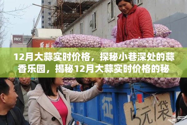 探秘小巷深处的蒜香乐园,揭秘大蒜实时价格走势,洞悉市场变化