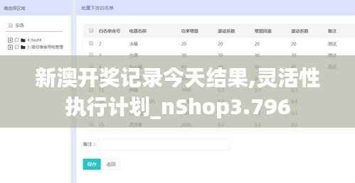 新澳开奖记录今天结果,灵活性执行计划_nShop3.796