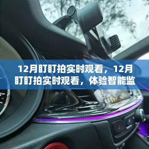 体验智能监控的魅力,12月盯盯拍实时观看
