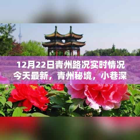 12月22日青州路况实时更新，秘境小巷的风情与隐藏宝藏