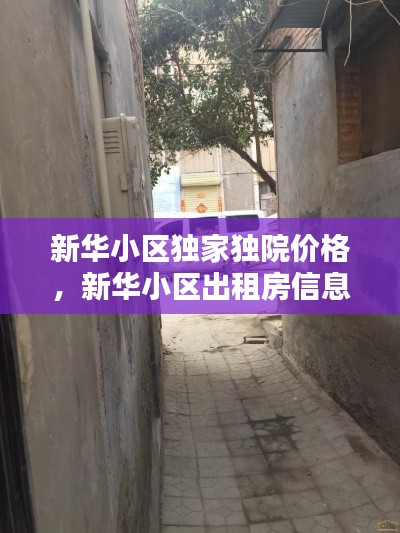 新华小区独家独院价格,新华小区出租房信息
