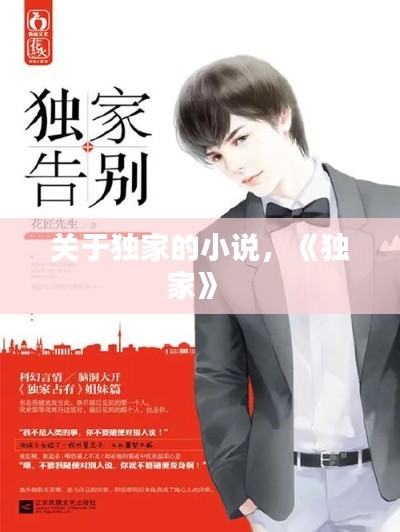 关于独家的小说,《独家》