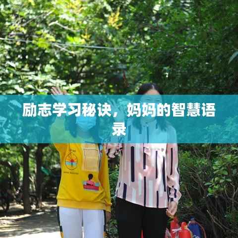 省吃俭用