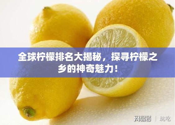 全球柠檬排名大揭秘,探寻柠檬之乡的神奇魅力!