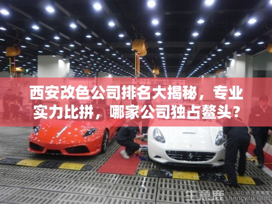 西安改色公司排名大揭秘,专业实力比拼,哪家公司独占鳌头?