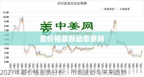 姜价格最新动态更新