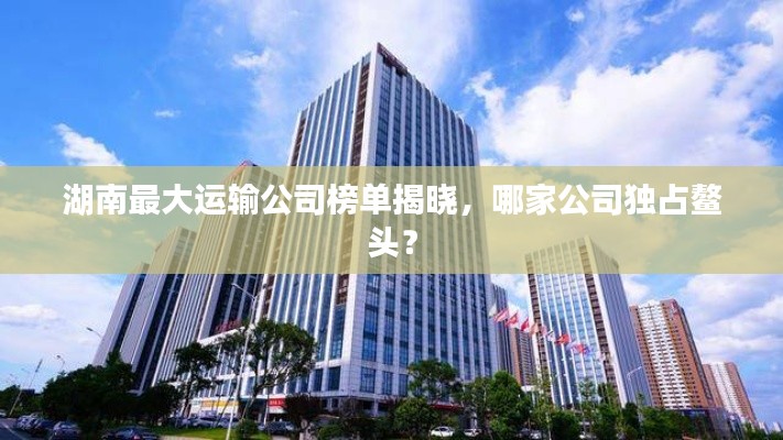 湖南最大运输公司榜单揭晓,哪家公司独占鳌头?