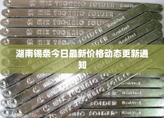 湖南锡条今日最新价格动态更新通知