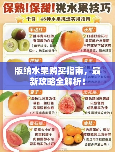 版纳水果购买指南，最新攻略全解析！