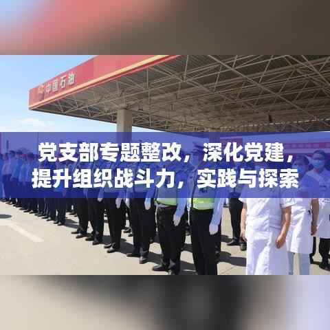 党支部专题整改，深化党建，提升组织战斗力，实践与探索